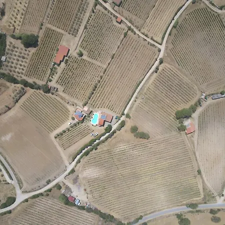 Bed & Breakfast Domo De Resteblas