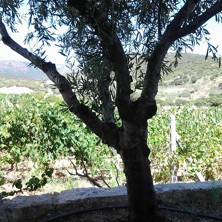 Domo De Resteblas Bed & Breakfast