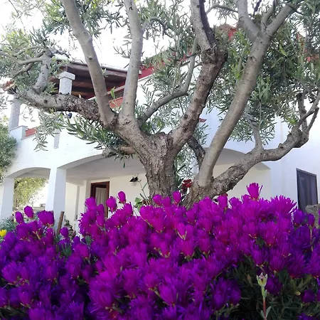 Bed and Breakfast Domo De Resteblas Berchidda