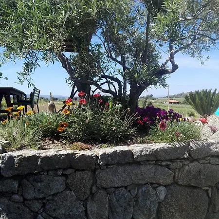 Bed & Breakfast Domo De Resteblas 3*