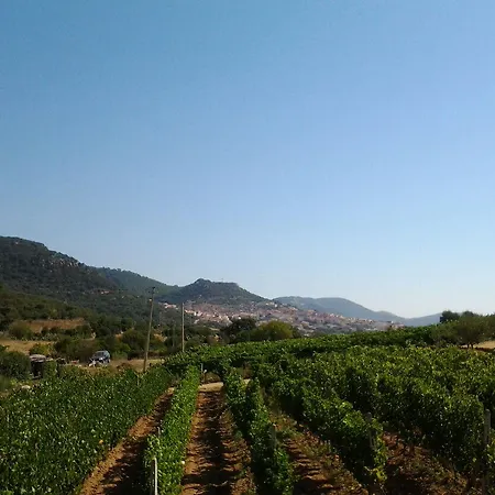 Domo De Resteblas Berchidda