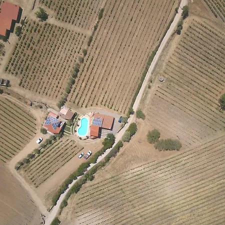 Bed & Breakfast Domo De Resteblas Berchidda