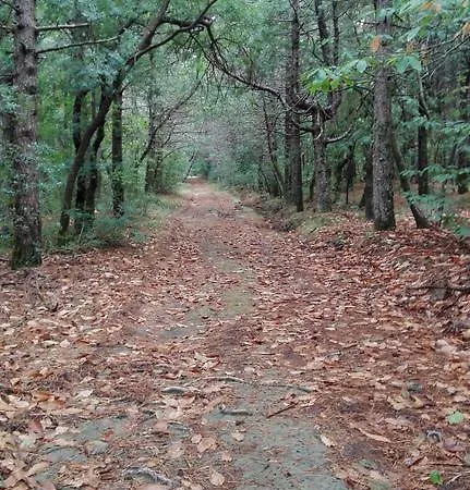 Domo De Resteblas 3*