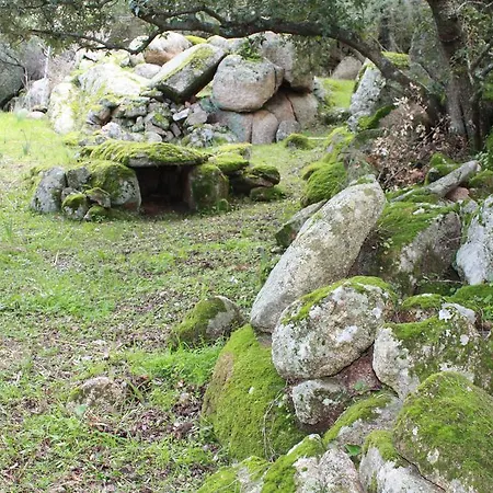 Domo De Resteblas Bed & Breakfast