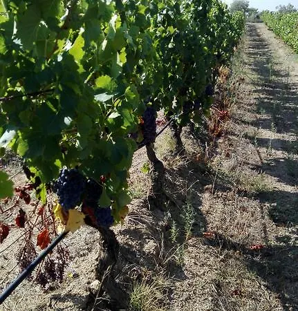 Domo De Resteblas 3*